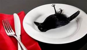 Crow to eat